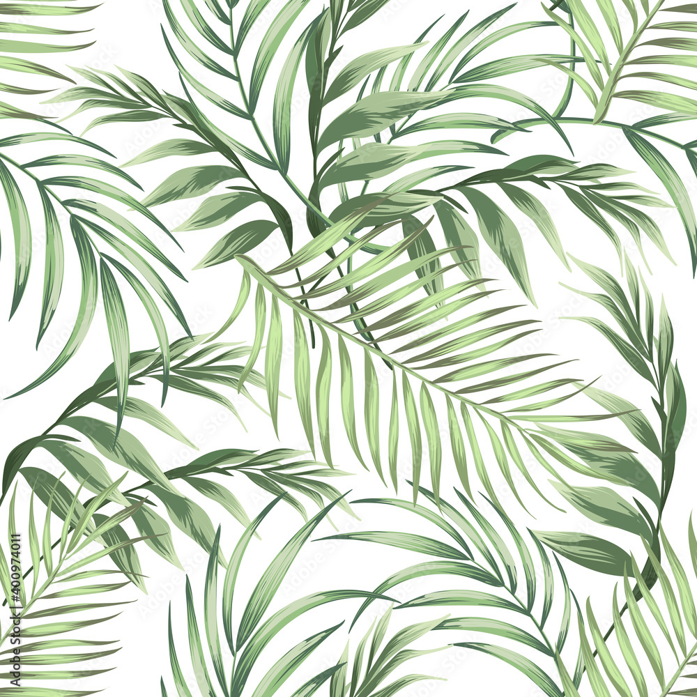 Tropical vector palm leaves pattern. Botanical illustration.