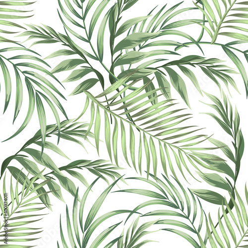 Tropical vector palm leaves pattern. Botanical illustration.