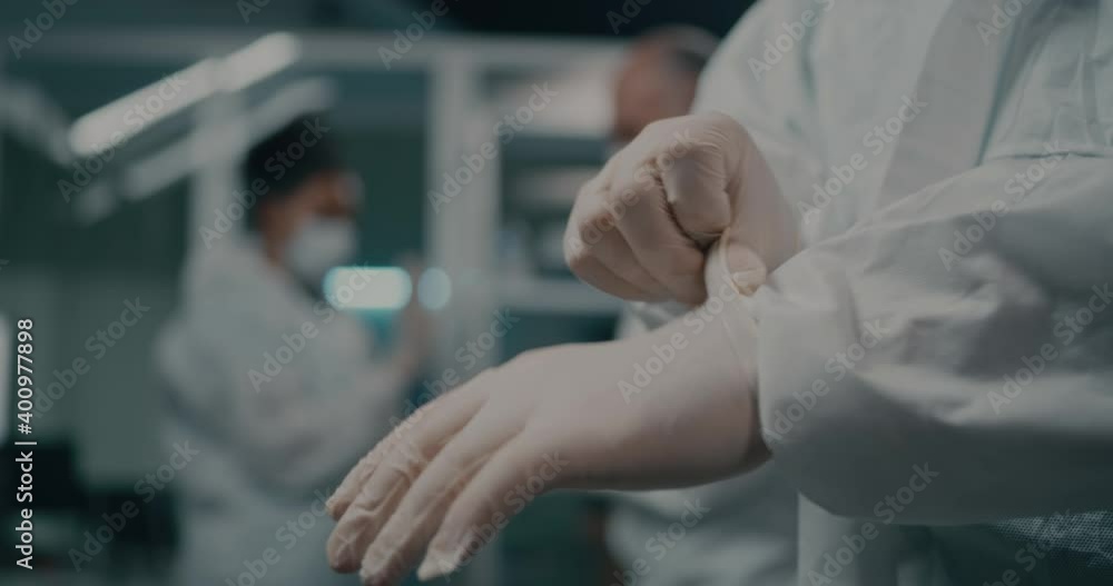 Crop doctor putting on gloves in laboratory Crop doctor putting on gloves in laboratory