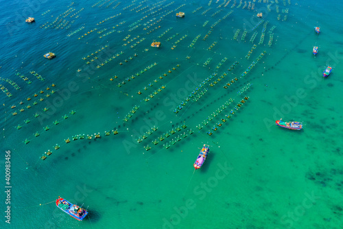 Aerial view of  shrimp ( prawn ) farm and lobster in front of Yen island, Phu...