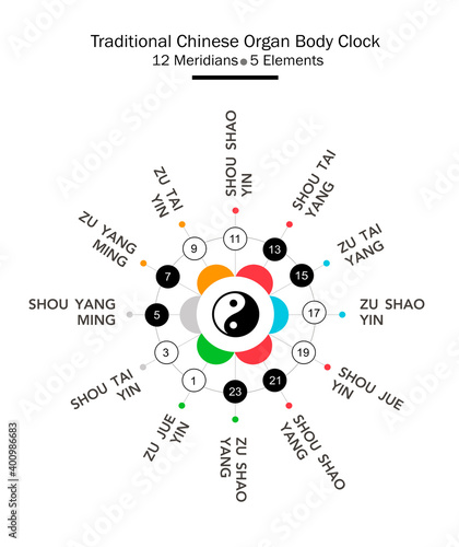 Traditional Chinese organs body clock. Chinese and main meridians  - 24 hours. Yin yang indicator : black for yin & white for yang. Colors symbolize elements : fire, water, metal, wood, earth