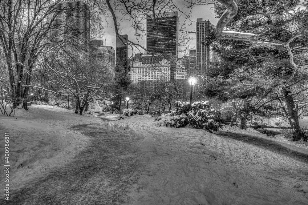 Fototapeta premium Central Park in winter