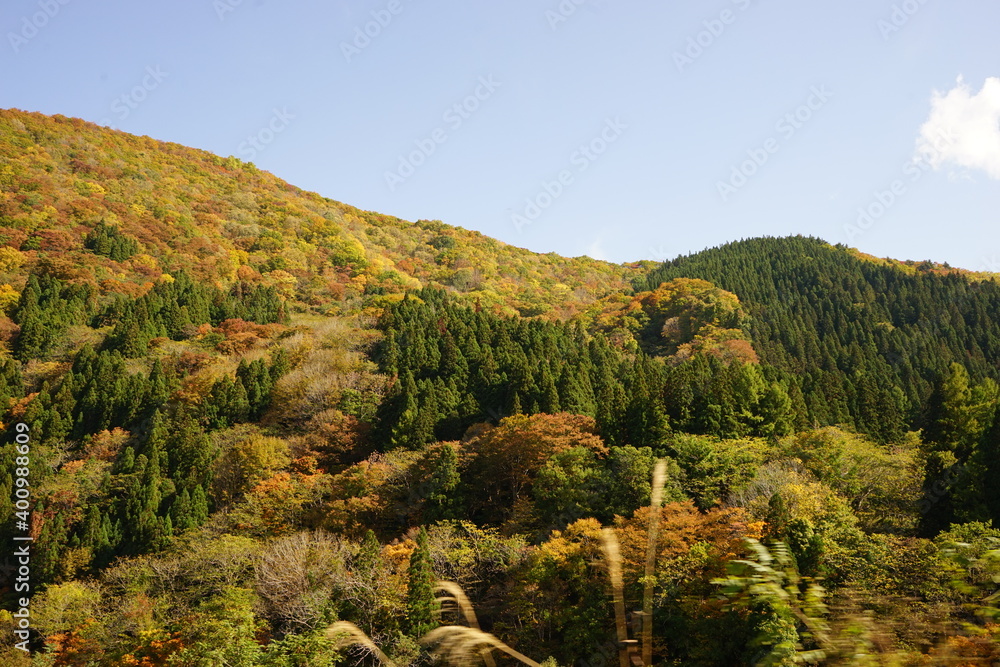 Beautiful red and yellow maple leaf at Oyasukyo gorge in Japan, aerial view - 紅葉したもみじ 小安峡 温泉 秋田県湯沢市 Beautiful red and yellow maple leaf at Oyasukyo gorge in Japan, aerial view - 紅葉したもみじ 小安峡 温泉 秋田県湯沢市