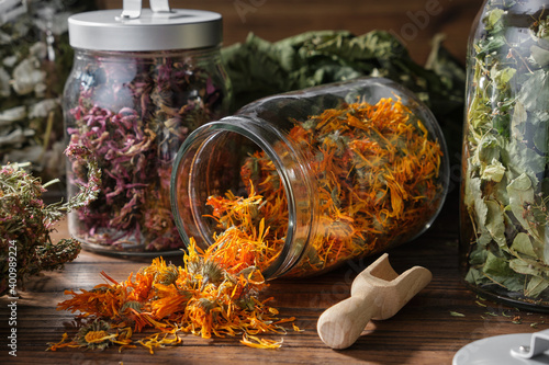 Obraz na plátně Glass jar of dry calendula flowers for making herbal tea, jars of various healthy herbs - coneflowers, linden tree blossom, raspberry and currant leaves, bunch of heather