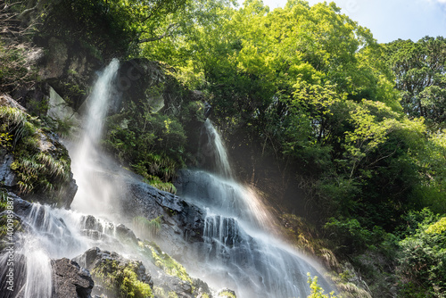 Fototapeta Naklejka Na Ścianę i Meble -  兵庫県・滝の水しぶきが眩しく陽光を反射