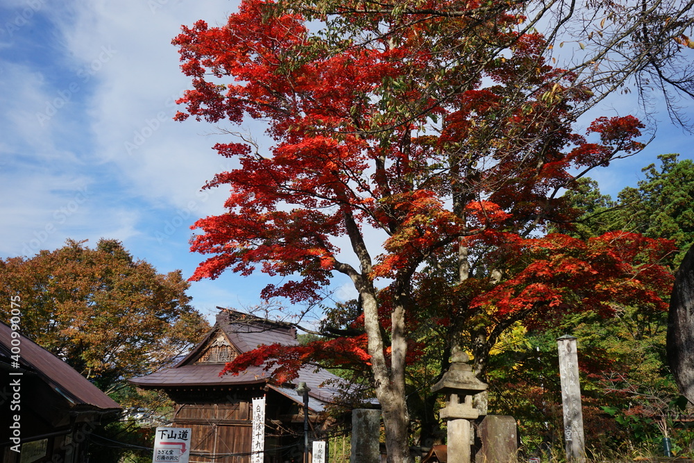Naklejka premium Aerial City view of Aizu Wakamatsu from Grave Site of the Byakkotai or Iimoriyama mountain in Fukushima prefecture, Japan - 飯盛山 福島県 会津若松市