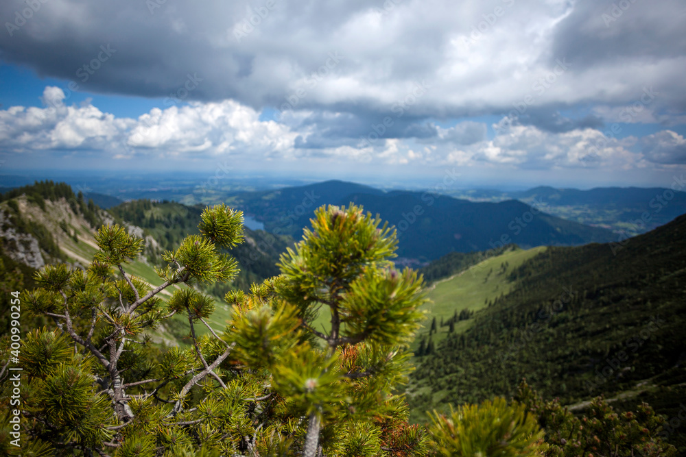 Naklejka premium Mountain panorama view of Brecherspitze, Bavaria
