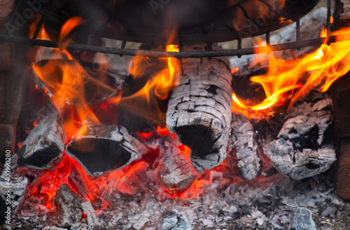 fire, hot logs in the fire