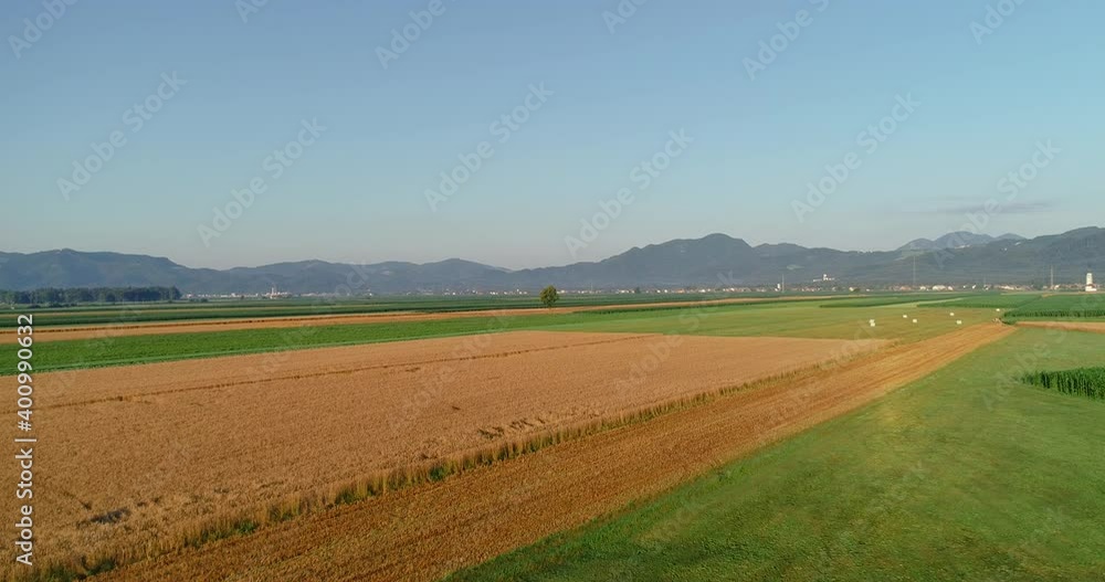 Drone aerial view of farming fields in Slovenia. Ljubljana basin flatland. Yellow orange wheat and green grass growing on farmland. Alps mountains in the distance. Forward moving, ascending Drone aerial view of farming fields in Slovenia. Ljubljana basin flatland. Yellow orange wheat and green grass growing on farmland. Alps mountains in the distance. Forward moving, ascending