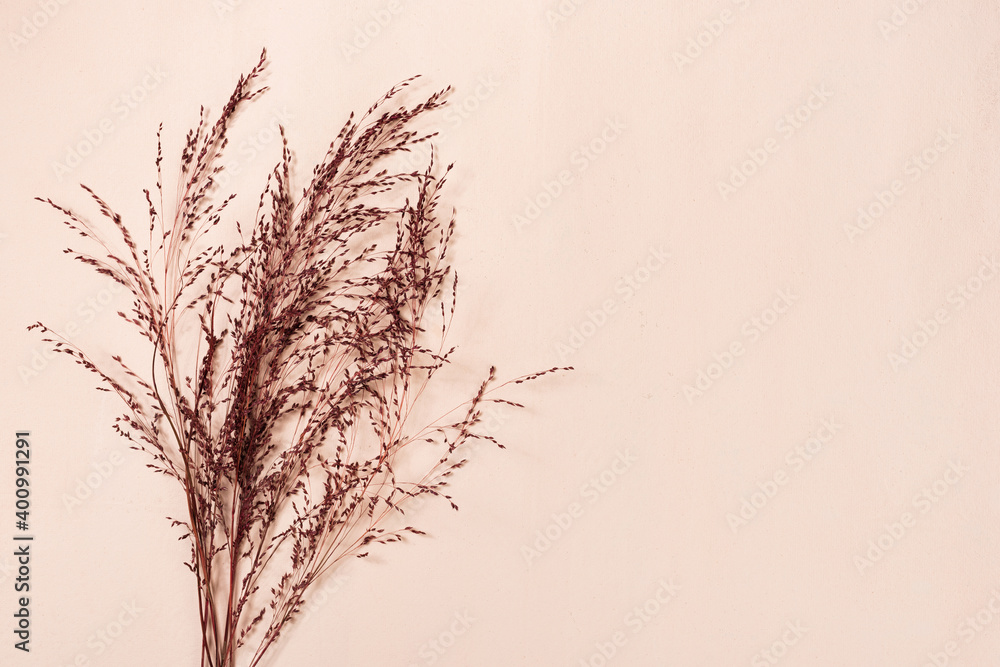 Obraz premium Red dry pampas grass plants on beige canva abstract background with copy space