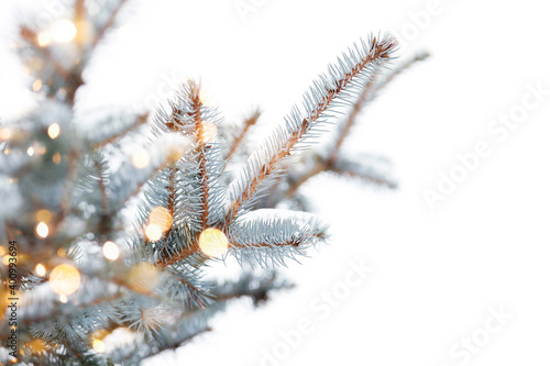 Natural pine tree branches covered with snow and light bulbs illuminating. Sustainable Christmas concept