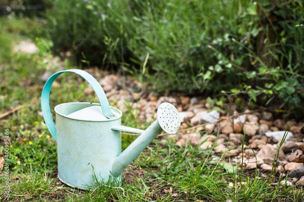 Old tin watering can in the garden
Old tin watering can in the garden