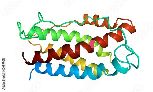 Obraz na plátně Structure of human interleukin-6, 3D cartoon model isolated, white background