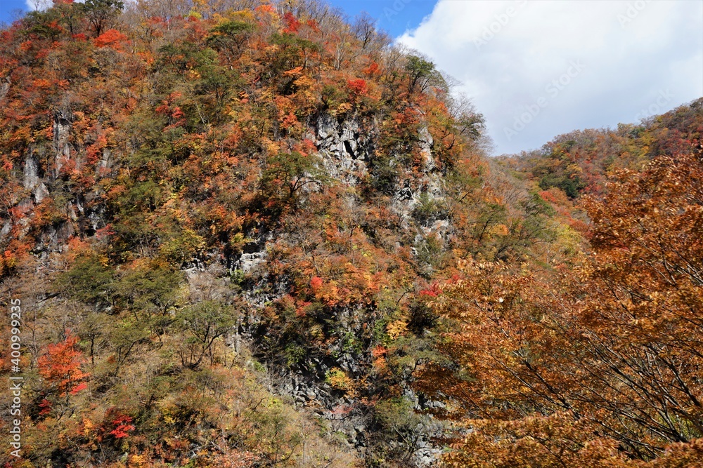 Autumn landscape of Irohazaka Winding Road in Oku-Nikko, Tochigi prefecture, Japan - 奥日光 いろは坂 秋の紅葉 栃木県 日光市