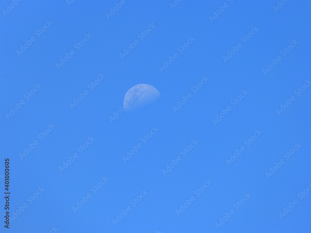 moon moon