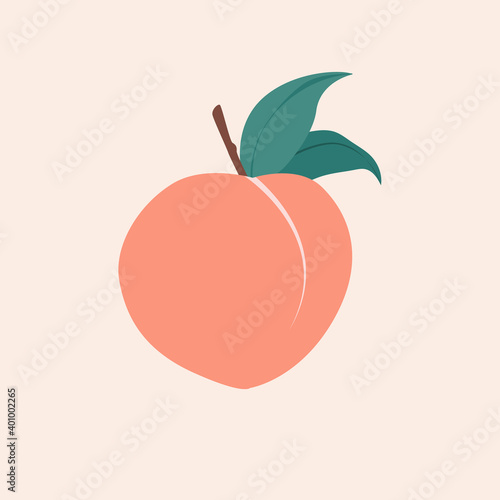 Modern vector peach illustration. Peach icon. Flat design style. photo