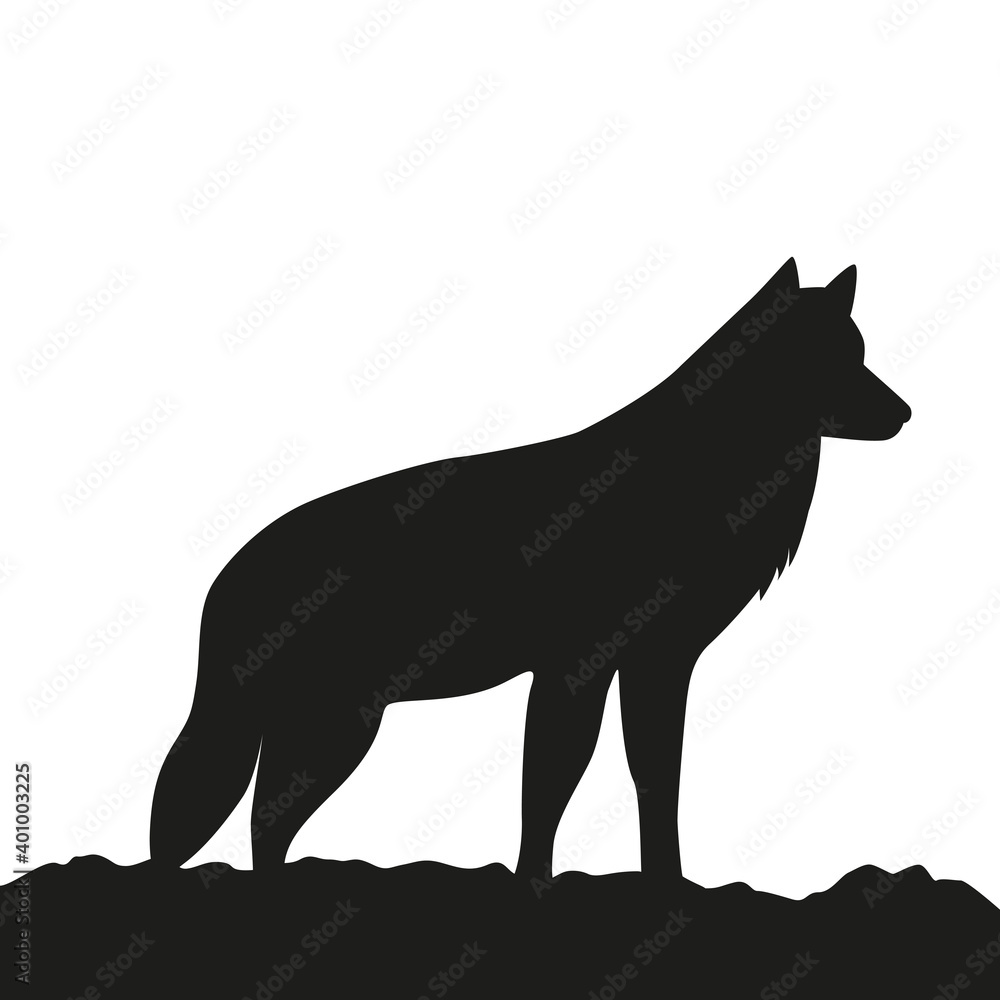 younger wolf side view silhouette on white background vector illustration EPS10