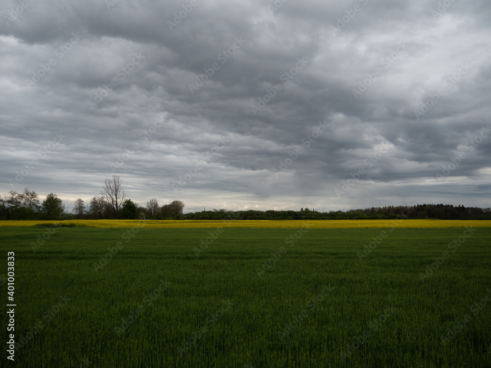 Fototapeta premium Field cloud