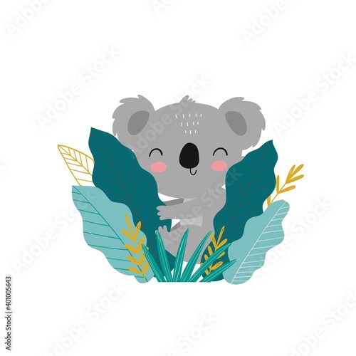 Photography Cute cartoon character koala