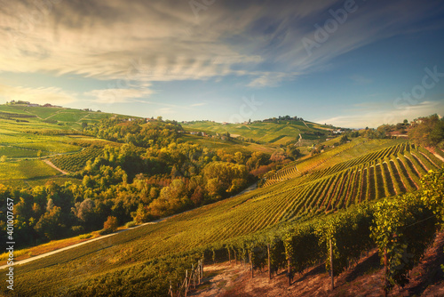 Langhe vineyards, Neive, Piedmont, Italy Europe.