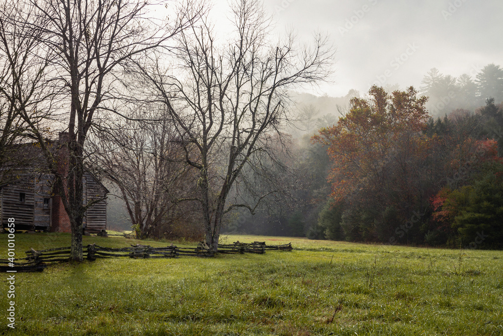 Obraz premium morning in the park