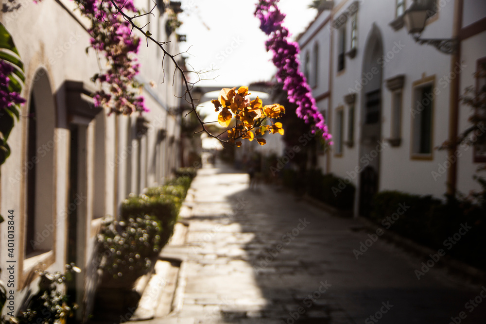 White streets in the famous village of Puerto de Mogan in Canary Islands, Spain