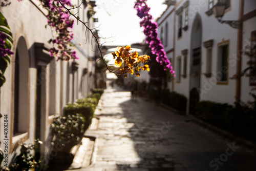 Fototapeta Naklejka Na Ścianę i Meble -  White streets in the famous village of Puerto de Mogan in Canary Islands, Spain