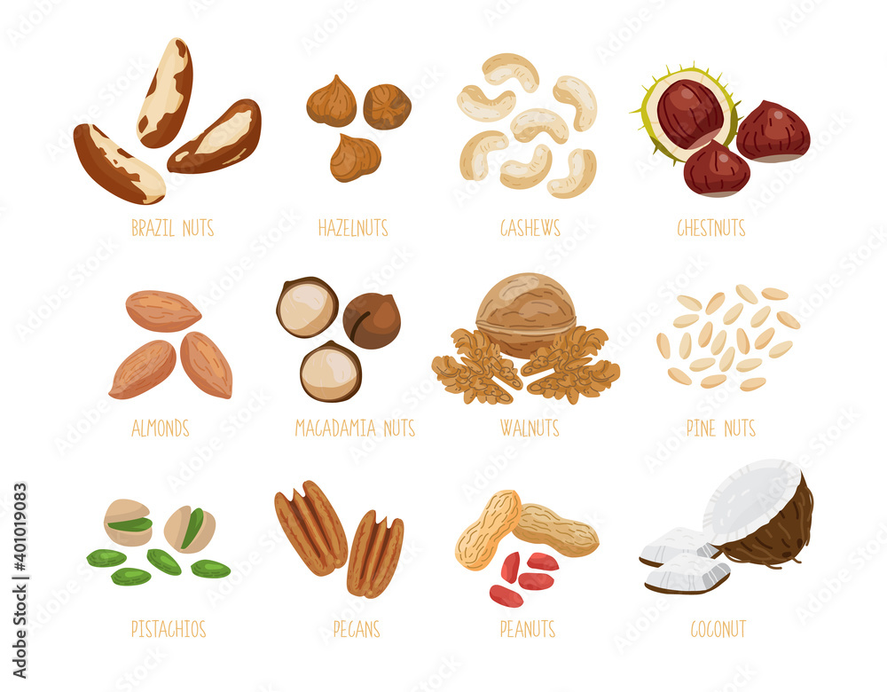 Set of nuts brazil nuts, hazelnuts, cashews, chestnuts, almonds, macadamia, walnuts, pine cedar nuts, pistachios, pecans, peanuts, coconut. Isolated set of vector icons nuts in a flat cartoon style