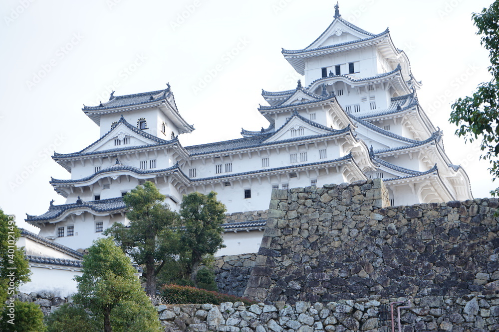 Himeji Castle (Himejijo) with green pine tree in Hyogo prefecture, Japan - 姫路城と松 兵庫県 姫路市 日本 Himeji Castle (Himejijo) with green pine tree in Hyogo prefecture, Japan - 姫路城と松 兵庫県 姫路市 日本