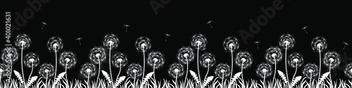 Banner with flowers  dandelions. Silhouette of white dandelions on black background. Floral print pattern  textile pattern. Seamless vector illustration. White flowers with white grass  flying seeds.