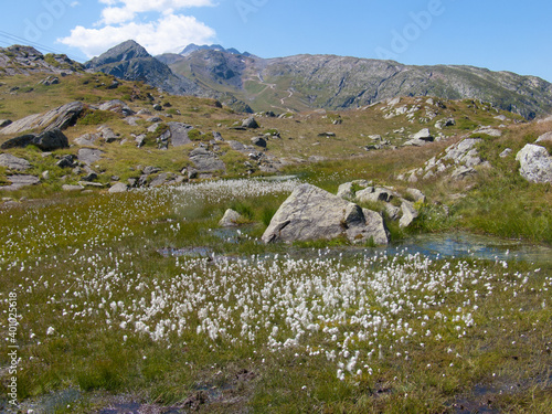 col de bellard,haute savoie,france photo