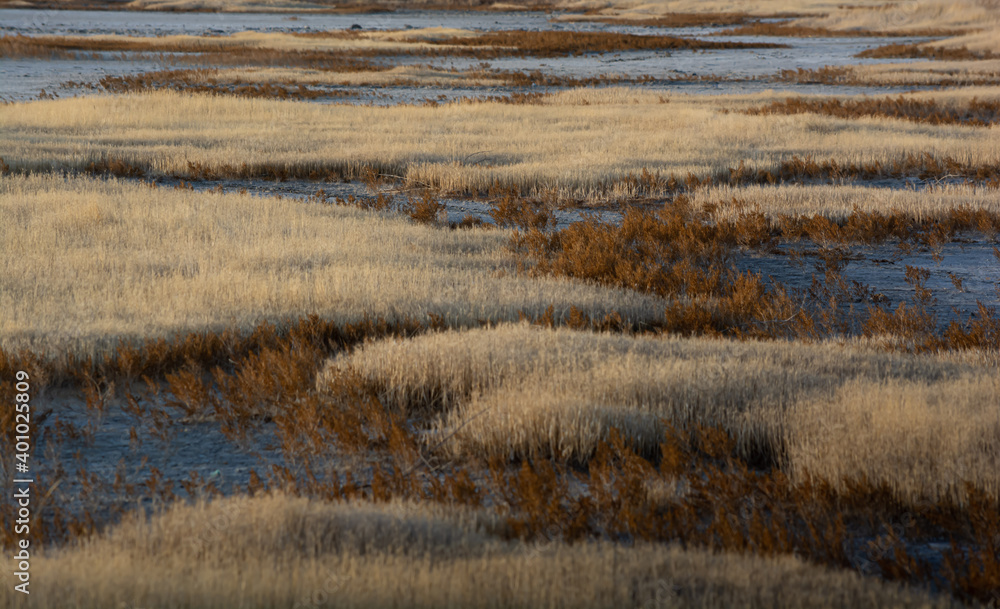 Late Season on the Tundra Late Season on the Tundra