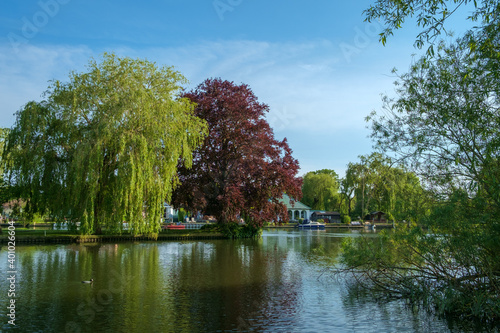 The River Thames, Shepperton, Surrey, UK.