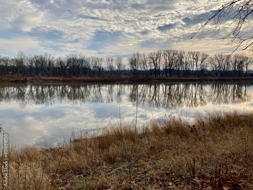 reflection of clouds and trees in river