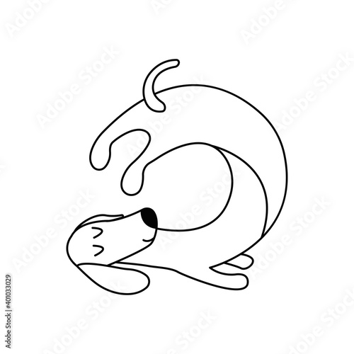 Dachshund practices yoga and meditates. Yoga dog, relaxation and sports. Vector isolated doodle illustration. Hand drawn animal black and white