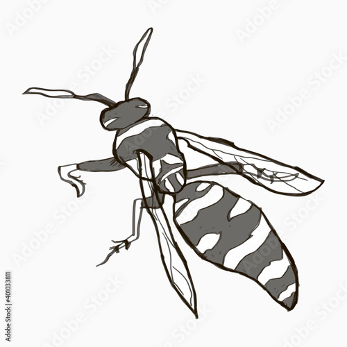 monochrome sketch of a wasp by hand. educational picture, tattoo, mascot, sticker. hand draws. vector.