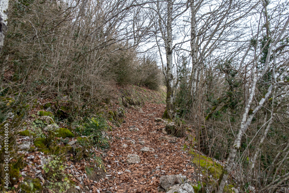Landscape of Cathar castle of Montsegur in Ariege, Occitanie in south of France Landscape of Cathar castle of Montsegur in Ariege, Occitanie in south of France
