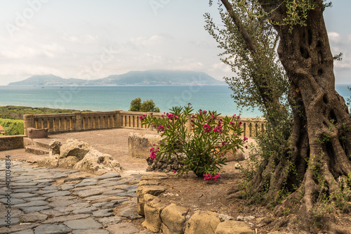 Ancient roman road with olive tree, Nerium oleander tree, the Tyrrhenian Sea and the island of Ischia from the archeological site of Cuma, Campania, Italy