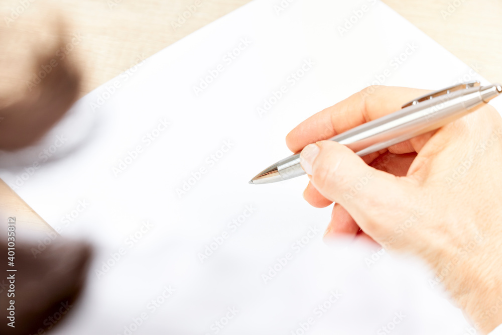 Business woman with a pen in her hand. International business concept Business woman with a pen in her hand. International business concept