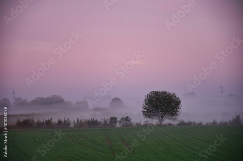 foggy morning in netherlands. Morning dew and mist rise over the fields shortly after sunrise. Landscape in autumn. Electricity pylons in background © SimonMichael