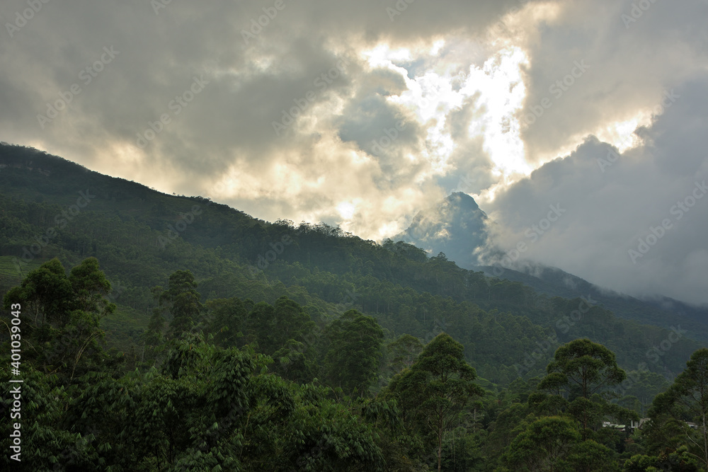 Blick über den tropischen Wald von Sri Lanka zum Adam's Peak mit sich auflösenden Regenwolken