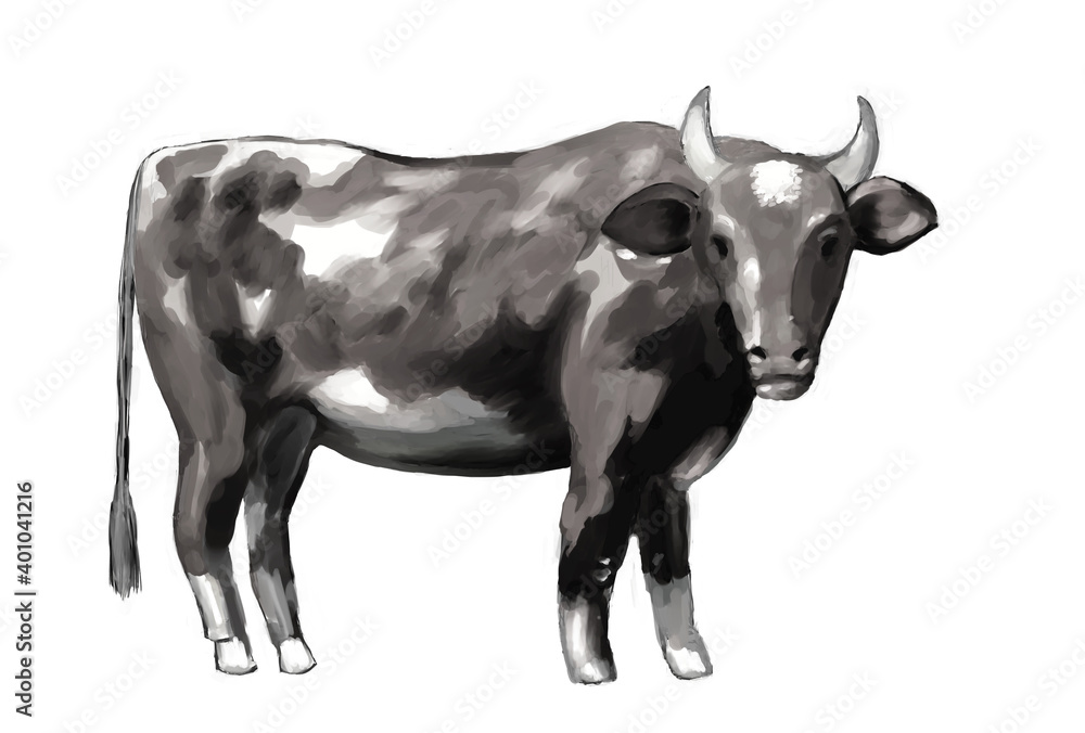 水彩画タッチのリアル風なモノクロ牛
