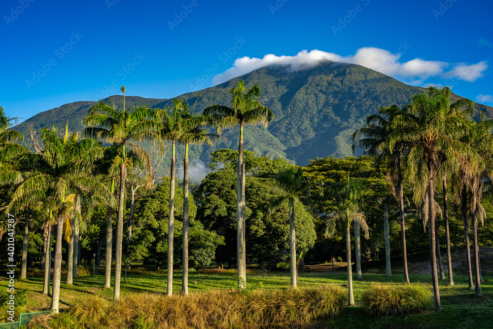 Fototapeta premium View of Avila mountain at morning from Parque del Este
