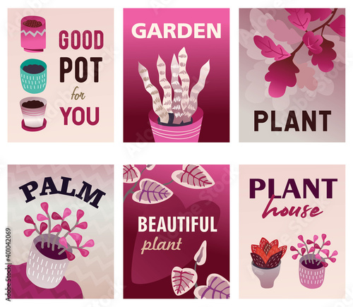 Home plants flyers set. Pots with soil, sansevieria, peace lily, oak branch vector illustrations with text. Flora and gardening concept for shop posters and brochures design