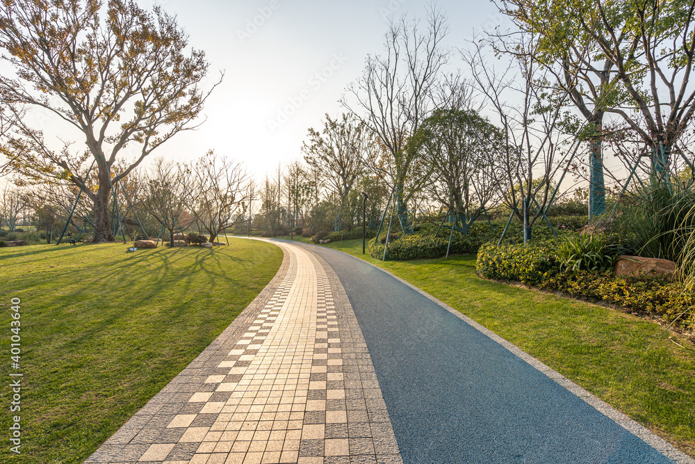 Fototapeta premium road in the park