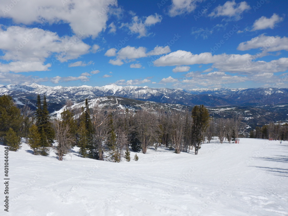 Fototapeta premium Winter Landscape