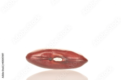 One organic red bean grain, close-up, isolated on white.