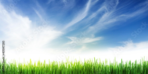 Green grass field and clear blue sky