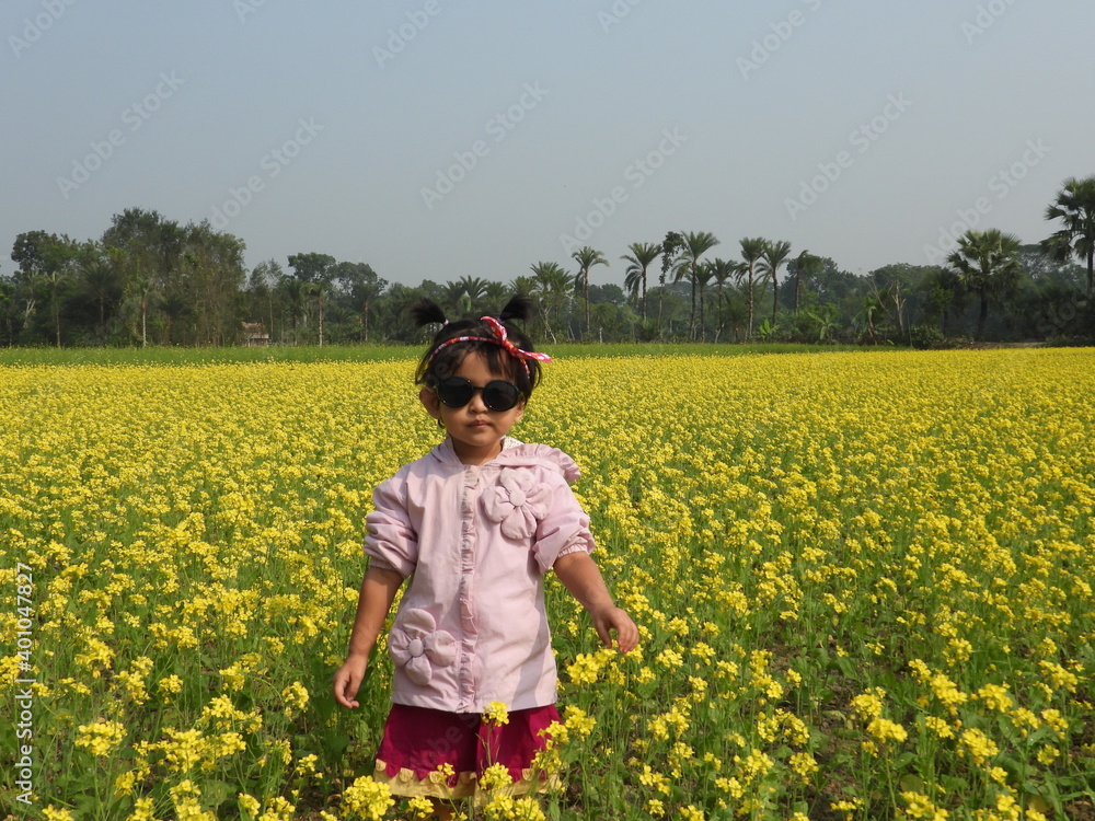 little girl in a field of dandelions little girl in a field of dandelions