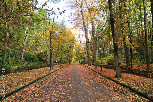 Obraz na płótnie Park withour people and tourists, way up to the Alhambra, Covid-19-pandemic, 2nd lockdown, Spain w salonie